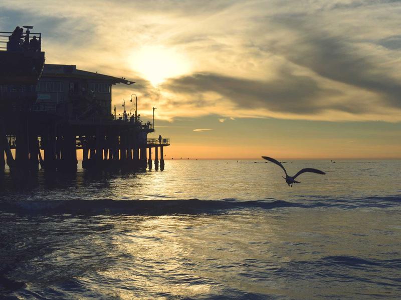 食物造型师<br>axbyeqm.cn 塑料冰块摆盘